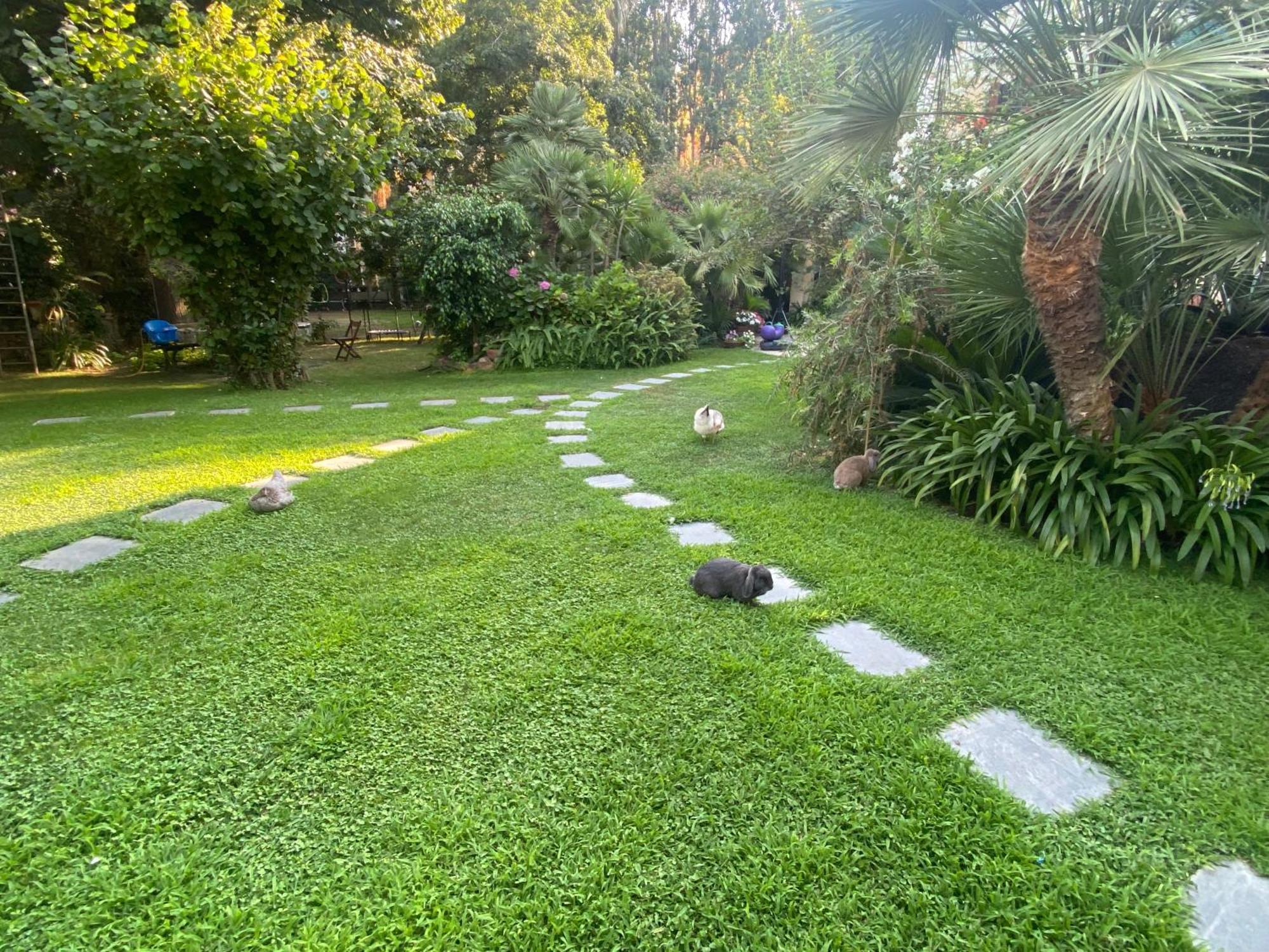 Villa Angelina Casa Limone Vallecrosia Buitenkant foto
